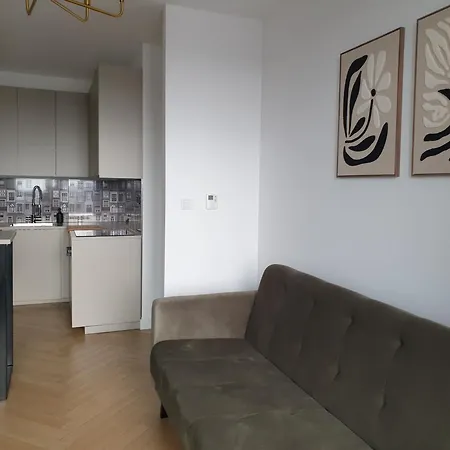 W Centrum Wroclawia Odra Tower فروتسواف